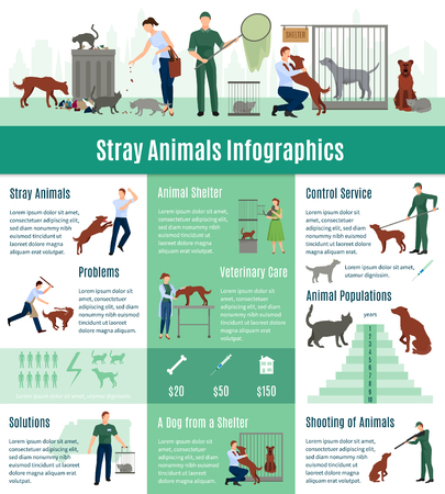 Stray animals infographics set with the calculation value on veterinary services population number of animals from a shelter who gained home vector illustrationのイラスト素材