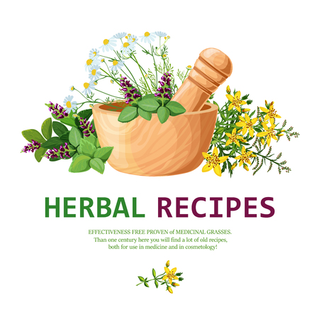 Original color illustration of medicinal herbs in clay mortar with pestle for decorating herbal recipes vector illustrationのイラスト素材