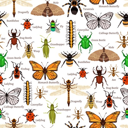 Insects Seamless Pattern. Insects Flat Vector Illustration. Insects Decorative Design.  Insects Elements Collection.のイラスト素材