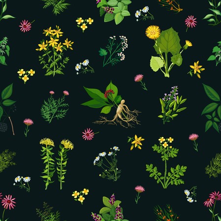 Seamless color pattern with dark background depicting different medicinal herbs vector illustrationのイラスト素材