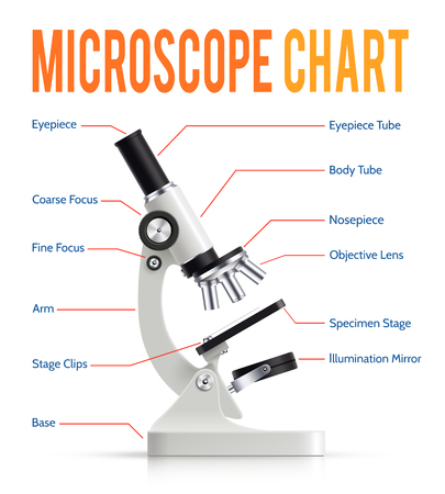 Modern electronic powerful lab microscope parts infographic  presentation chart with realistic instrument side view poster vector illustrationのイラスト素材
