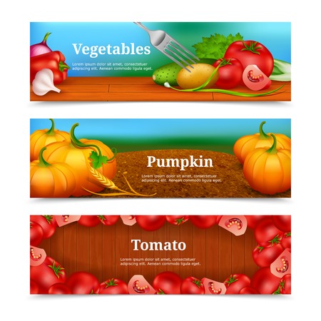 Three colorful horizontal banners with vegetables and greengrocery for salad pumpkin in field and tomato frame vector illustrationのイラスト素材