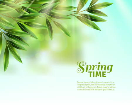 Branches of olive tree with green leaves in spring sunlight at blue sky background flat vector illustrationのイラスト素材