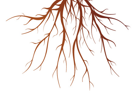 Brown tree root on white background flat isolated vector illustrationのイラスト素材