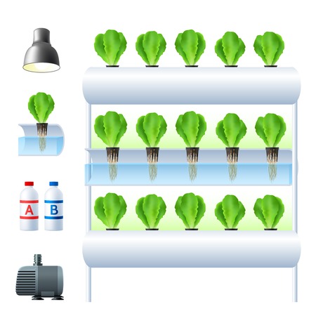 Hydroponics system icon set with equipment and necessary tools for plants cultivation vector illustrationのイラスト素材