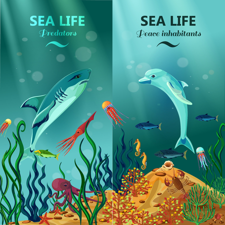 Colorful vertical sea life banners with peace and predator inhabitants of underwater coral reefs flat vector illustrationのイラスト素材