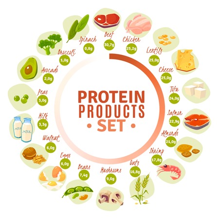 High protein products progressive circle diagram with actual content data from spinach to beef flat vector illustrationのイラスト素材
