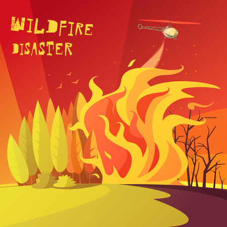Color cartoon illustration wildfire disaster depicting burning forest vector illustrationのイラスト素材