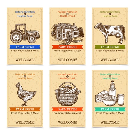 Six vertical farm tags welcome banners with healthy food farm animals tractor farmhouse with textural beige background sketch hand drawn isolated vector illustration