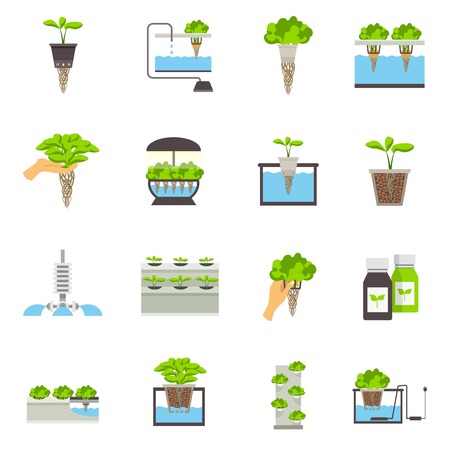 Set of color flat icons depicting elements of hydroponic system vector illustrationのイラスト素材