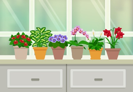 Houseplants and flowers in blossom background with window and drawers flat vector illustrationのイラスト素材