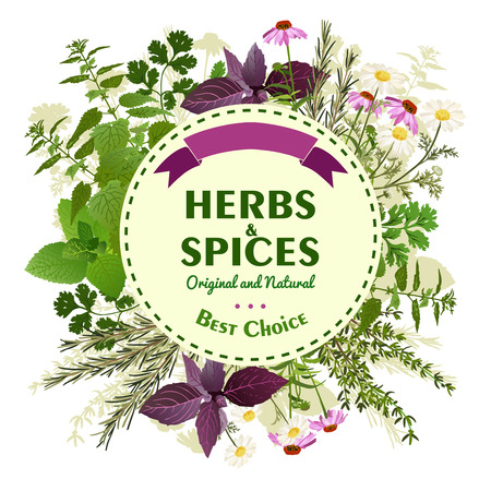 Organic emblem with herbs and spices and title on round background with ribbon vector illustrationのイラスト素材