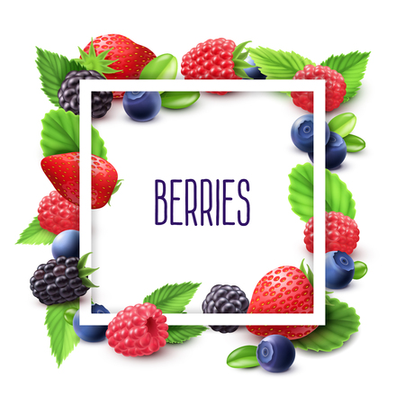 Berries and frame realistic set with blueberry strawberry and blackberry vector illustrationのイラスト素材