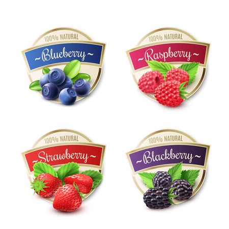 Berry labels realistic set with strawberry and blueberry isolated vector illustrationのイラスト素材