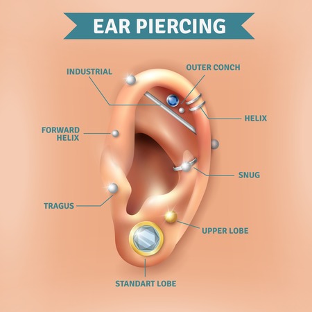 Top different types of ear piercing trendy positions picture infographic elements natural  background poster vector illustrationのイラスト素材