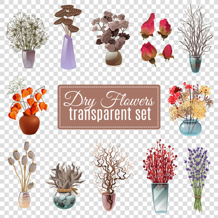 Set of dry flowers bouquets in vases of various shapes and sizes for decoration on transparent background flat vector illustrationのイラスト素材