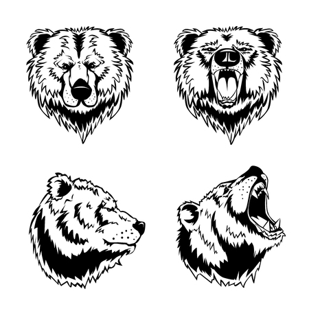 Hand drawn ink engravings set of four bear head in different angles and moods isolated on white background vector illustrationのイラスト素材