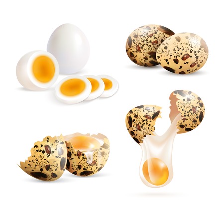 Quail eggs isolated realistic images set of whole eggs and cracked eggshell pieces with boiled egg slices vector illustrationのイラスト素材