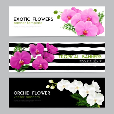 Blooming orchids 3 horizontal banners collection with exotic flowers on black white background realistic isolated vector illustrationのイラスト素材