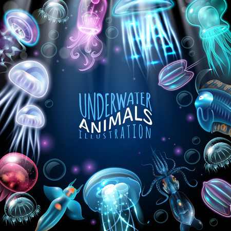 Light and bright underwater animals frame background squid jellyfish and other inhabitants vector illustrationのイラスト素材
