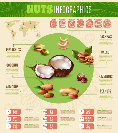 Colorful realistic infographics presenting information about different kinds of nuts vector illustrationのイラスト素材