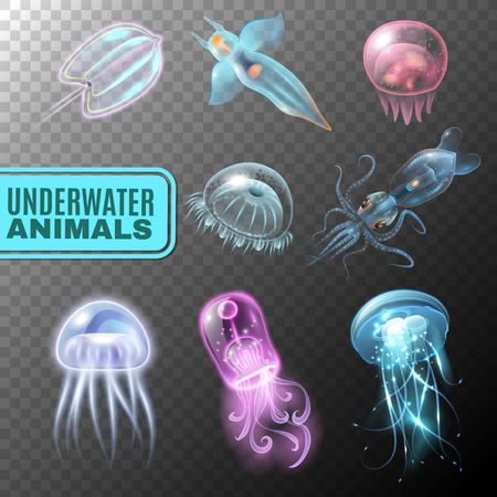 Beautiful realistic and colored underwater transparent icon set swimming in the sea vector illustrationのイラスト素材