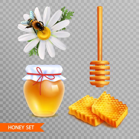 Honey realistic set on transparent  background with two pieces of honeycombs wooden dipper stick glass jar of honey and daisy flower with sitting bee isolated vector illustrationのイラスト素材