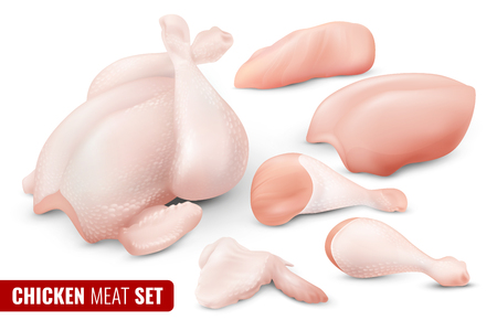 Colored chicken meat icon set with different parts of chicken carcass separated and chopped vector illustrationのイラスト素材