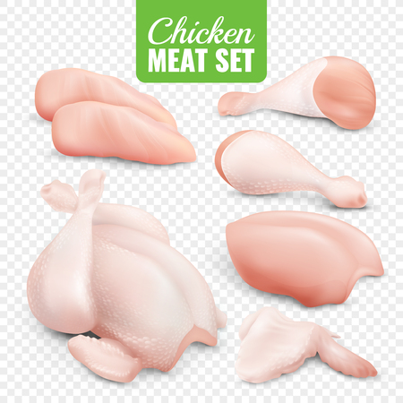 Realistic colored chicken meat transparent icon set with fresh pieces of chicken vector illustrationのイラスト素材
