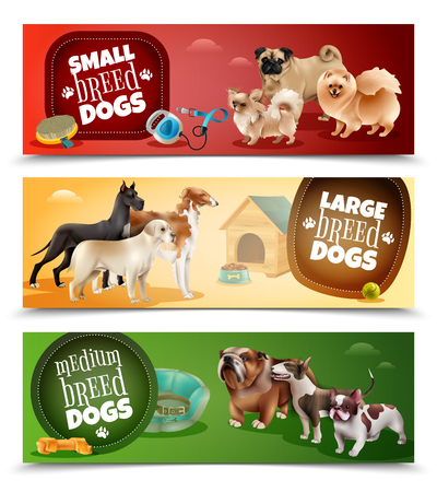 Three horizontal dog breeds banner set with small large and medium breeds vector illustrationのイラスト素材