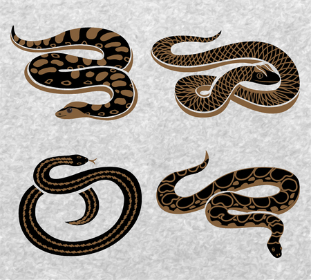 Black snakes set of reptiles with various ornaments on textured grey background isolated vector illustrationのイラスト素材