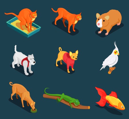 Pet shop colorful isometric icons set with guinea pig cat dog lizard on dark background vector illustration のイラスト素材