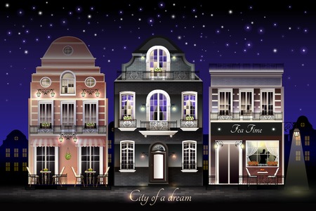 Old european illuminated facade of houses with flowers at balconies on background of starry sky vector illustrationのイラスト素材