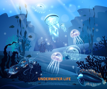 Underwater world sea life poster with transparent colorful jellyfishes, coral reef, sun rays in misty blue background vector illustrationのイラスト素材