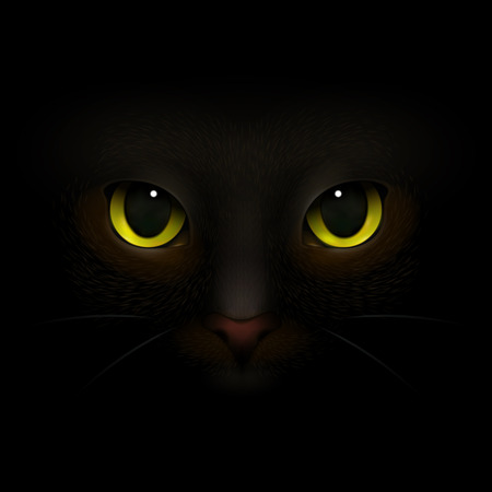 Animals monsters realistic composition with feline eyes and nose scary cats snout looking out of darkness vector illustrationのイラスト素材
