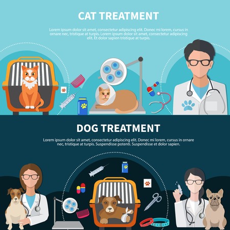 Cat and dog veterinary treatment surgical procedures medication vector illustrationのイラスト素材
