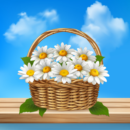 Daisy realistic colored composition wicker basket of flowers stands on a wooden bench vector illustrationのイラスト素材