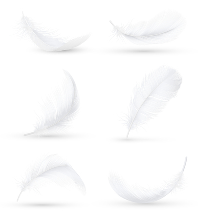 Realistic white bird feathers images set in 6 various positions and angles with shadow isolated vector illustration  のイラスト素材