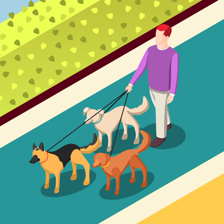 Employed worker during dogs walking on leashes on walkway with green bushes isometric background vector illustrationのイラスト素材