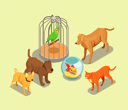 Pet shop isometric background vector illustrationのイラスト素材