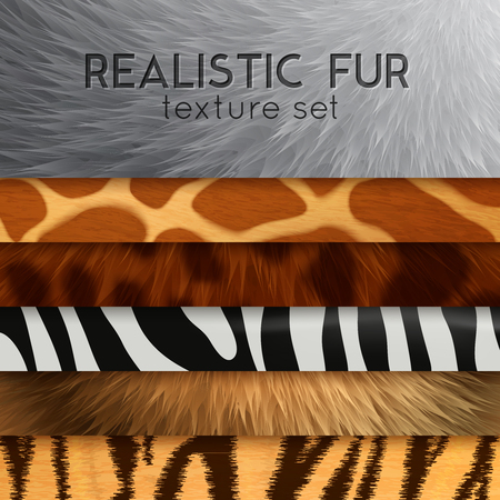 Collection of fur texture six horizontal elements with abstract various colored patterns in realistic style as background for design vector illustrationのイラスト素材