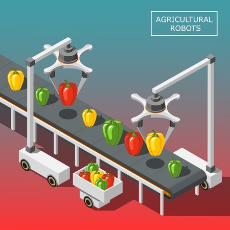 Agricultural robots isometric background with modern automated devices intended for vegetable sorting on transporter vector illustrationのイラスト素材
