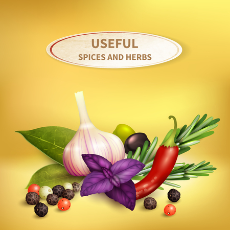 Colorful realistic background with useful herbs and spices such as garlic, rosemary, pepper, bay leaf, olives vector illustration.のイラスト素材