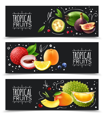 Set of horizontal banners exotic tropical fruits with design elements isolated on chalk board background vector illustration  のイラスト素材