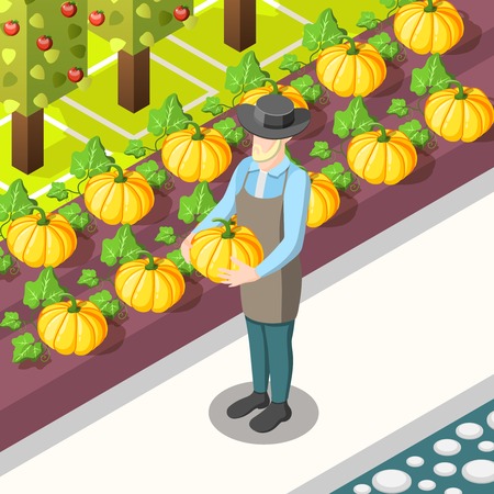 Organic food isometric background with farmer, harvest of pumpkins, garden with apple trees vector illustrationのイラスト素材