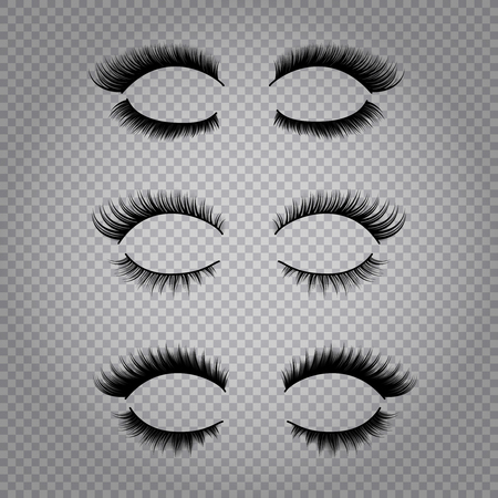 Set of realistic false lashes for upper and lower eye lids isolated on transparent background vector illustrationのイラスト素材