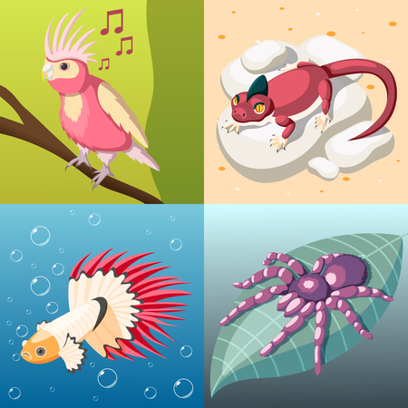 Exotic pets 2x2 design concept set of reptile fish insect bird isometric square icons cartoon vector illustrationのイラスト素材