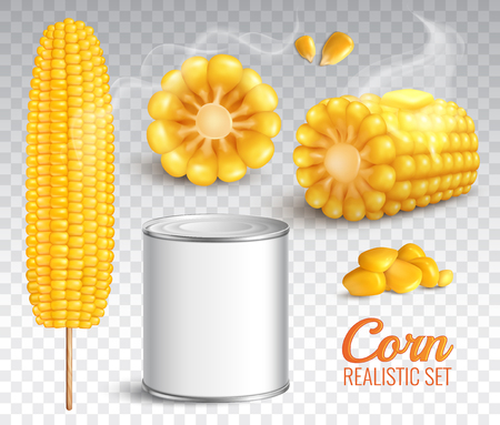 Realistic corn in cob, grains, baked buttered maize, canned product, set on transparent background isolated vector illustrationのイラスト素材