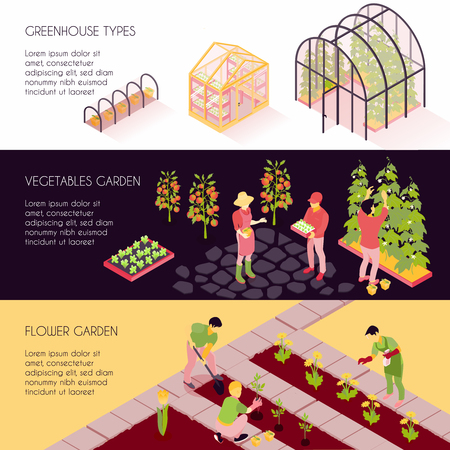 Greenhouse types 3 horizontal isometric banners set with hothouse plants vegetables and flower gardens isolated vector illustrationのイラスト素材