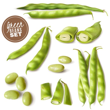 Fresh farmer market green beans realistic set with whole and cut pods ready to cook vector illustrationのイラスト素材